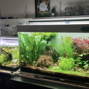 Publication de TortueGeniale91