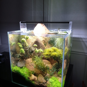 Publication de Stef7524