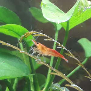 Publication de ColisaDUBOUCHON