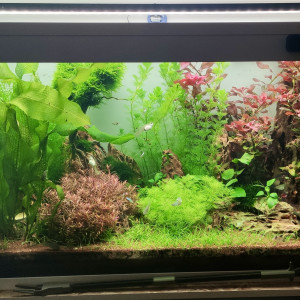 Publication de TortueGeniale91