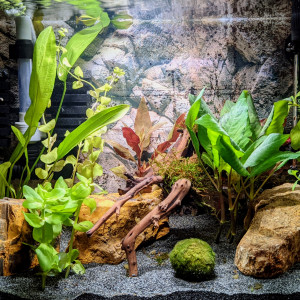 Publication de gibet_b