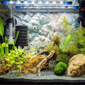 Publication de gibet_b