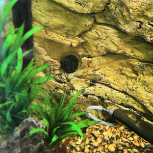 Publication de philippe-rolland