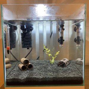 Publication de fiocn