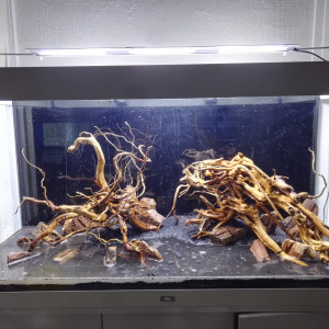 Publication de Warko