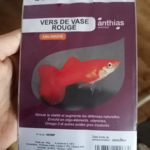 Publication de Louvic2