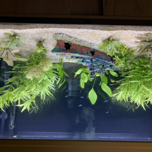 Publication de zoe-neptune