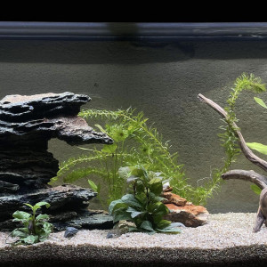 Aquarium