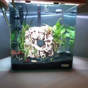 Aqua30L