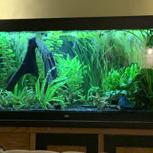 Publication de Juju690