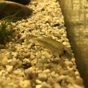 Publication de Refugees63