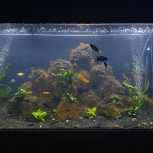 Principal 450L