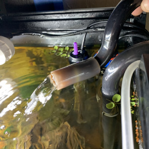 Publication de rom-gdu