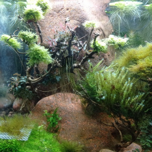 Publication de Stef7524