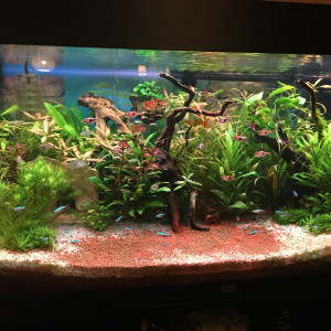 Publication de Antho33