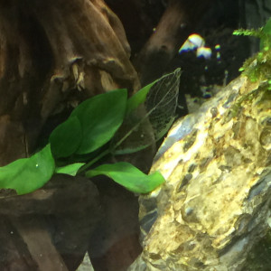 Publication de mmichel20