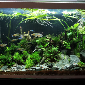 Publication de ChrisdeReims