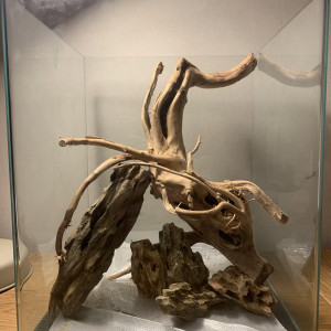 Publication de Figaro37