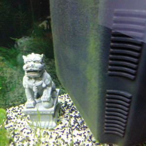 Publication de Julienmelanie72300