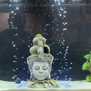 Publication de karl-mailhot