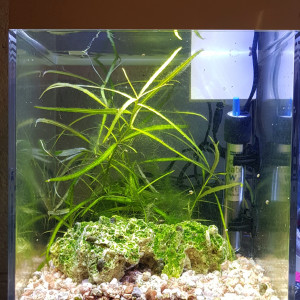 Publication de Artilm