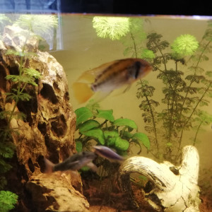 Publication de Valilou