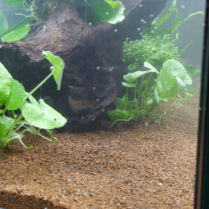 Publication de jems97