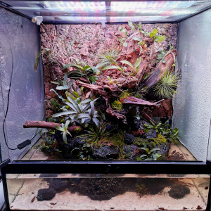 Publication de Babapizza