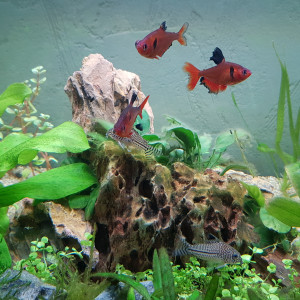 Publication de Aurelyyy86