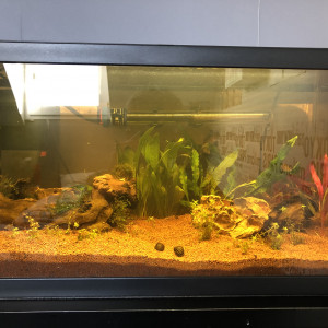 Publication de mathis-kozera