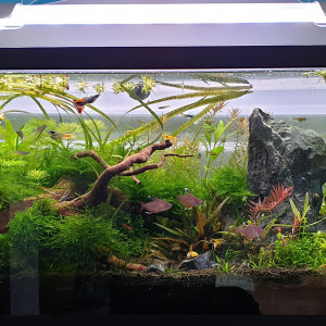 Publication de ManuM