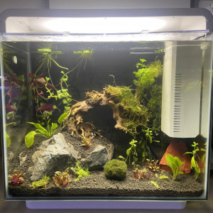 Publication de Emilien-G