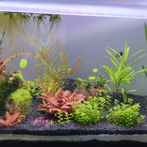 Publication de Rudyrudy21