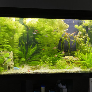 Publication de Ben89