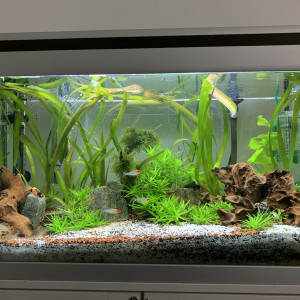 Publication de AndreaP