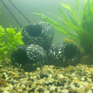 Publication de Lulustucru70