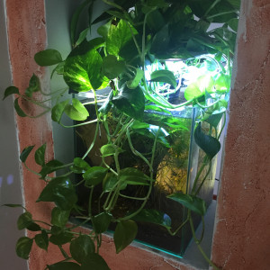 mini cube