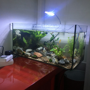 Publication de emile112