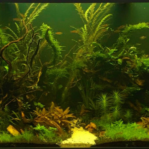 Publication de Warko