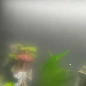 Publication de john57