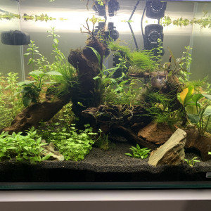 Publication de LudiM89