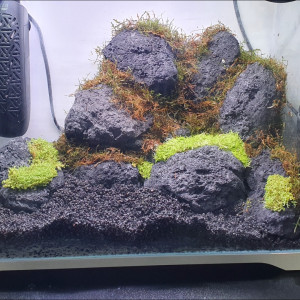 Betta Blue 28L