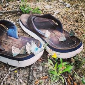 thierry-laborde-debat