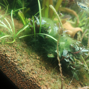 Publication de Fred8313