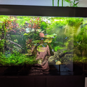 Publication de Eosss