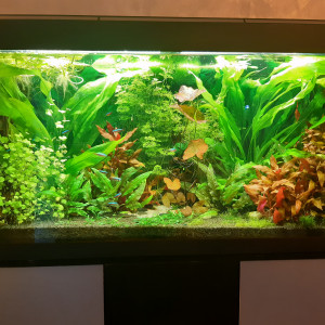 Publication de laure-poussinsky