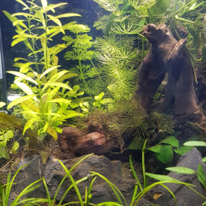 Nano 30L