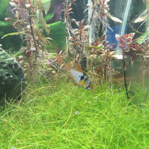 Publication de ColisaDUBOUCHON