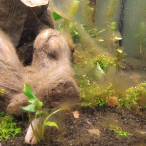 Publication de Nth0912