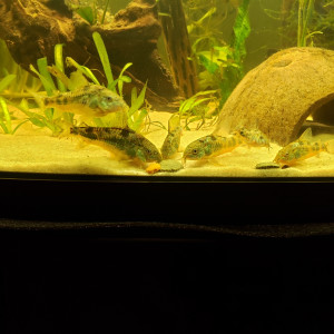 Publication de Marielaure